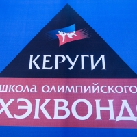 Объявляется набор девочек и мальчиков спортивную секцию Тхэквондо ВТФ.