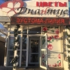 Фотография компании