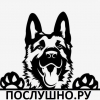 Фотография компании
